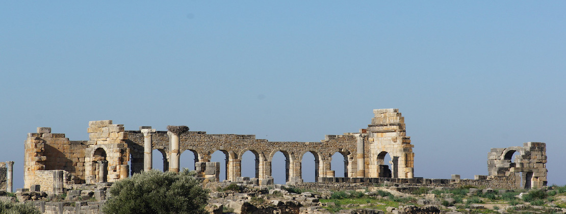 fes to volubilis and meknes day trip